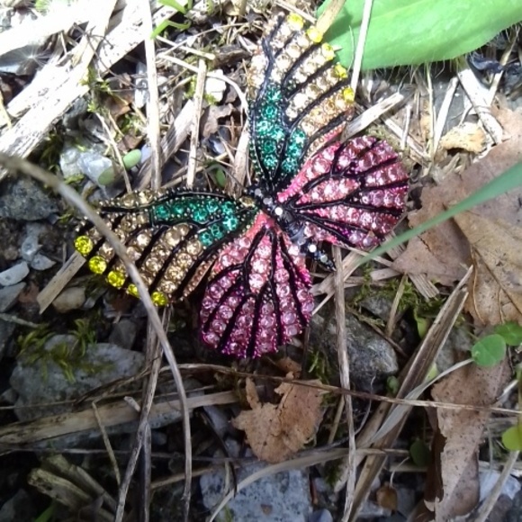 Butterfly Pin - Picture 4 of 5